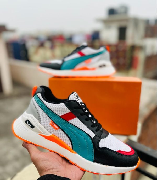 puma R71